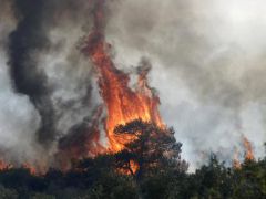 Ближний Восток в ожидании «большого пожара» Ближний Восток в ожидании «большого пожара»
